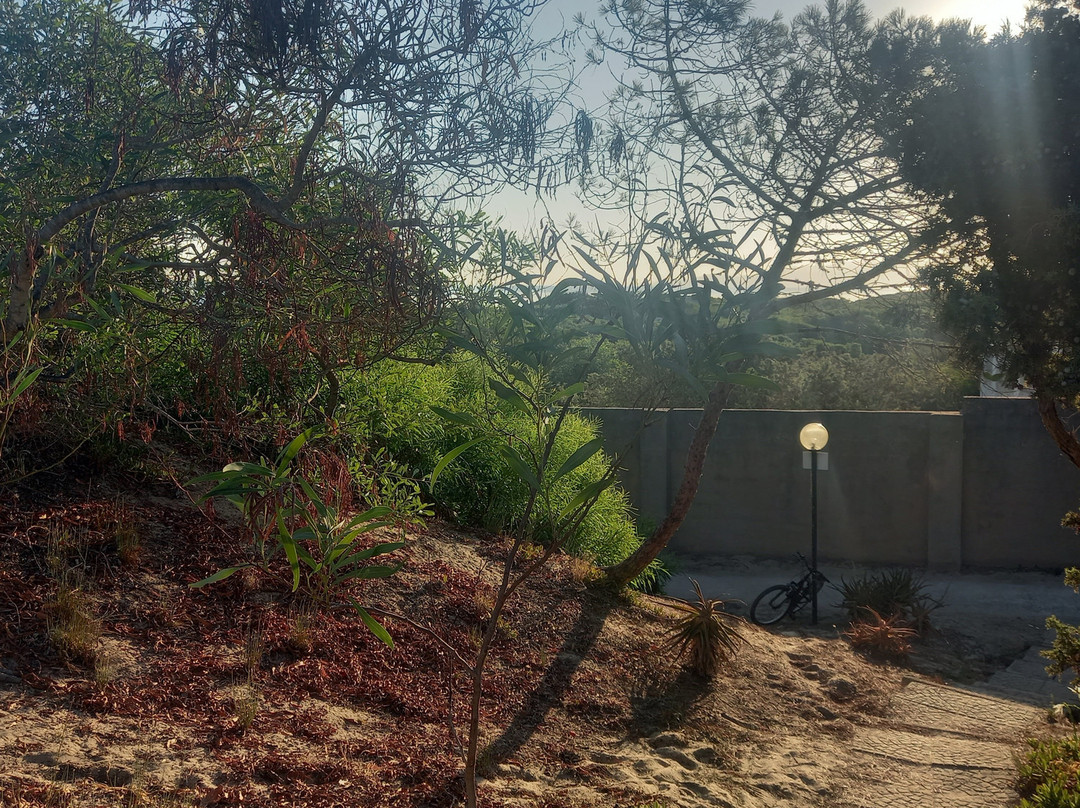 高尔夫阿心那拉营地旅馆主图