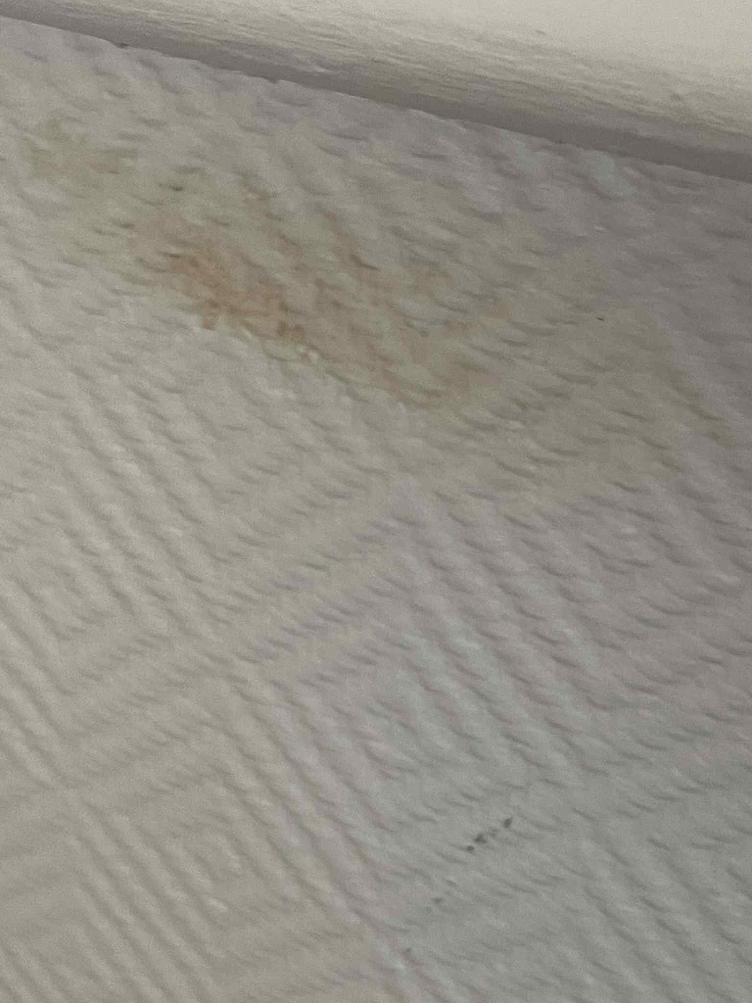 Brit Hotel Magdalena-客卧