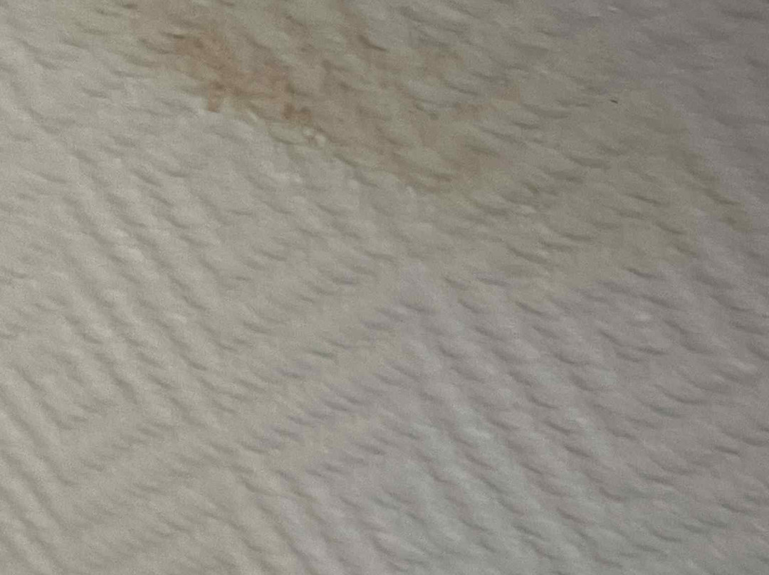 Brit Hotel Magdalena主图