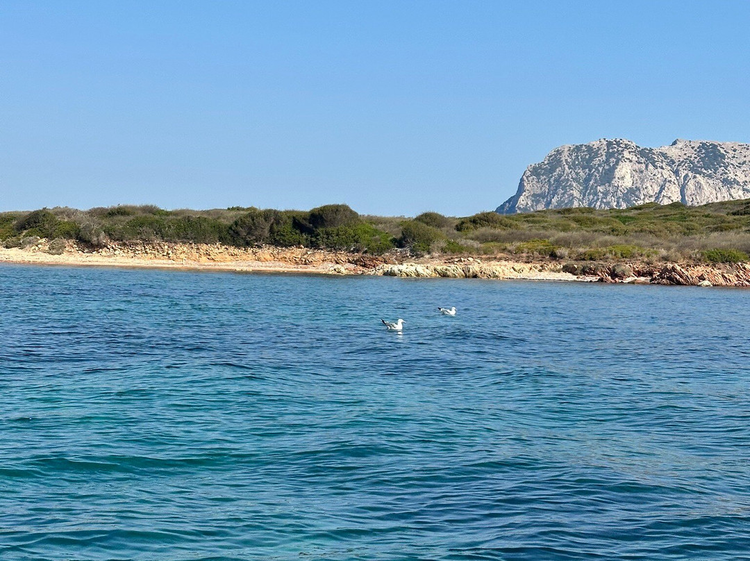 Noleggio Gommoni Stella Marina-Budoni必去景点
