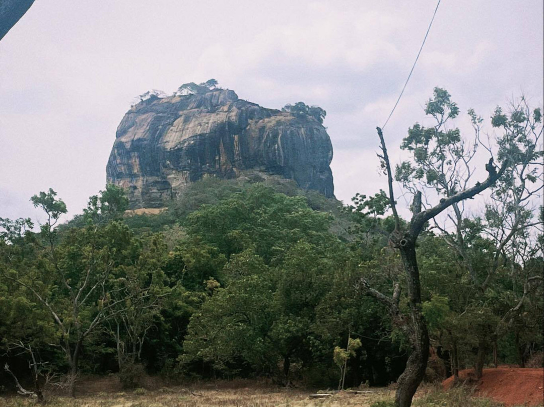 Omaari Lanka Tours-Dankotuwa必去景点