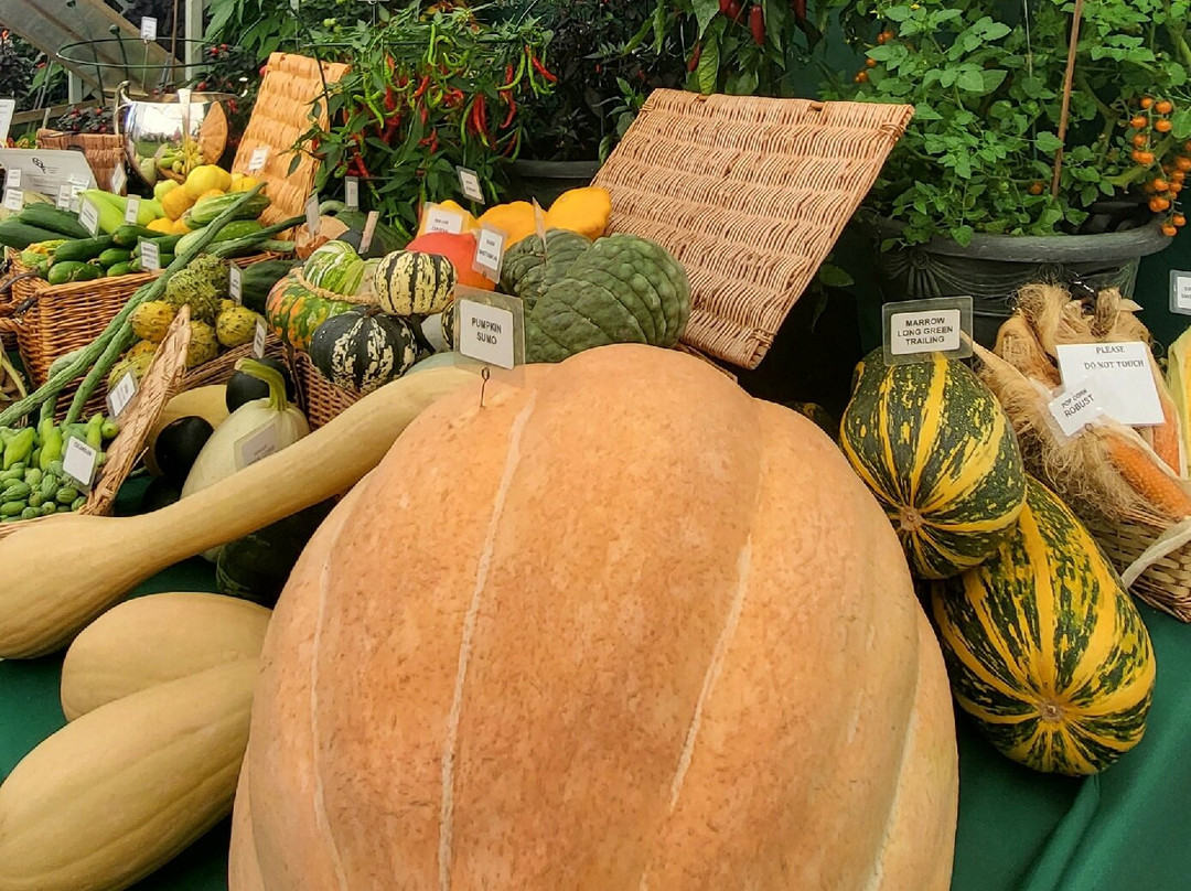 Southport Flower Show-绍斯波特必去景点