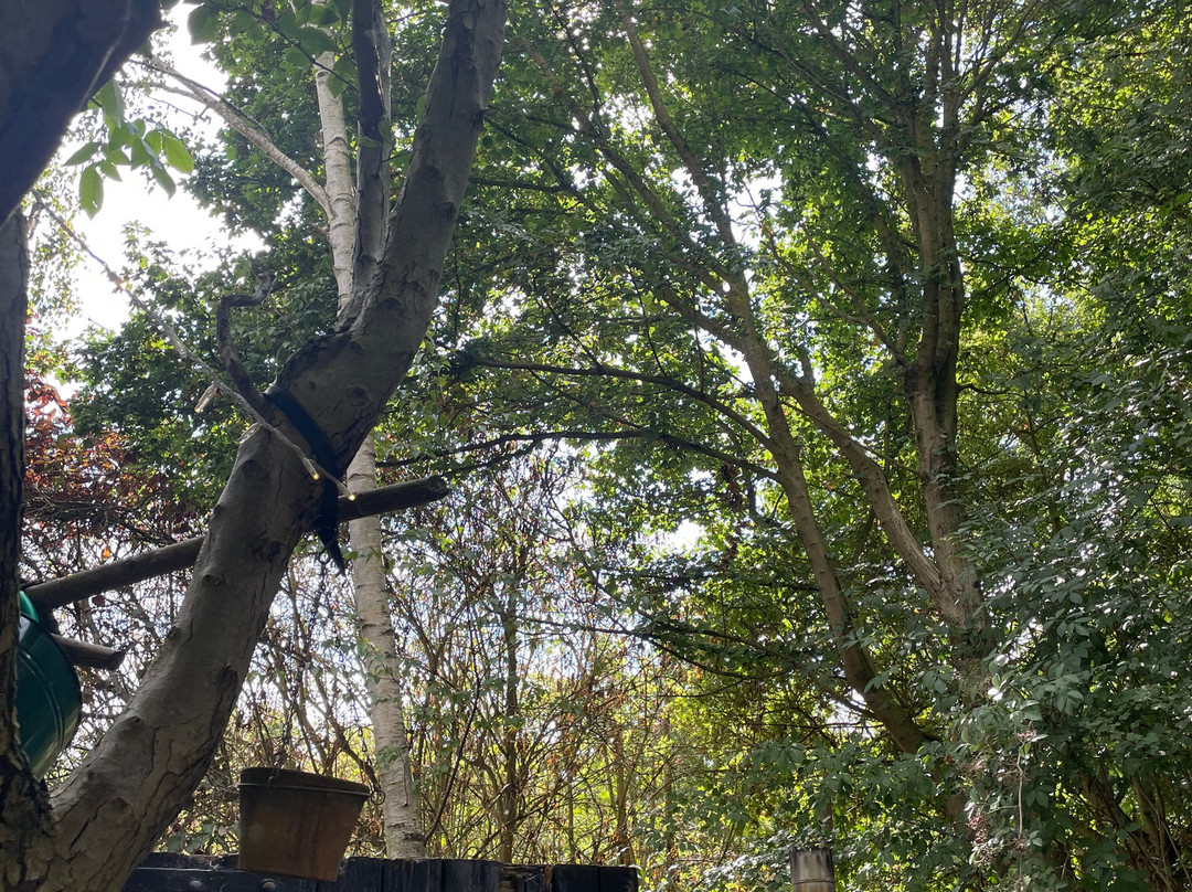 Crafts Hill Barn主图