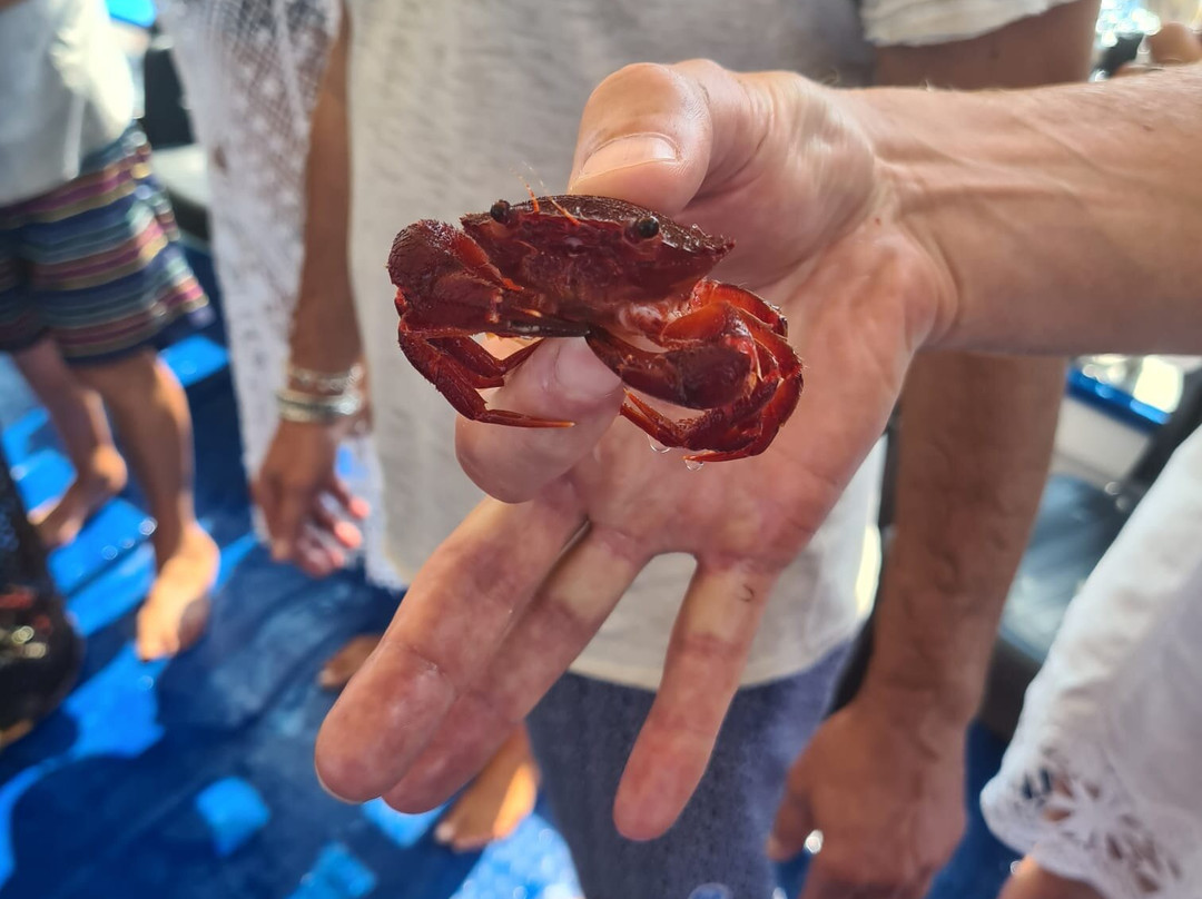 Pescaturismo K2-萨萨里省必去景点