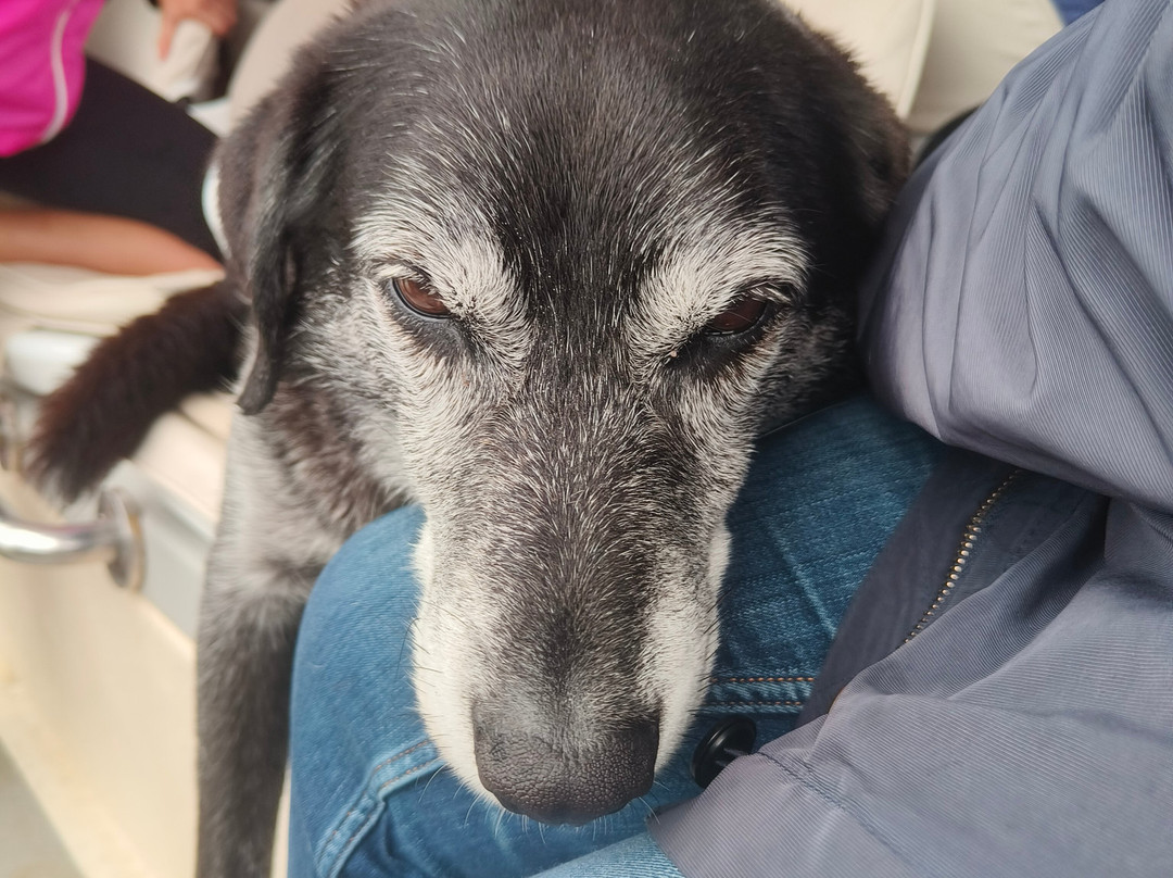 Skellig Tours-Caherdaniel必去景点