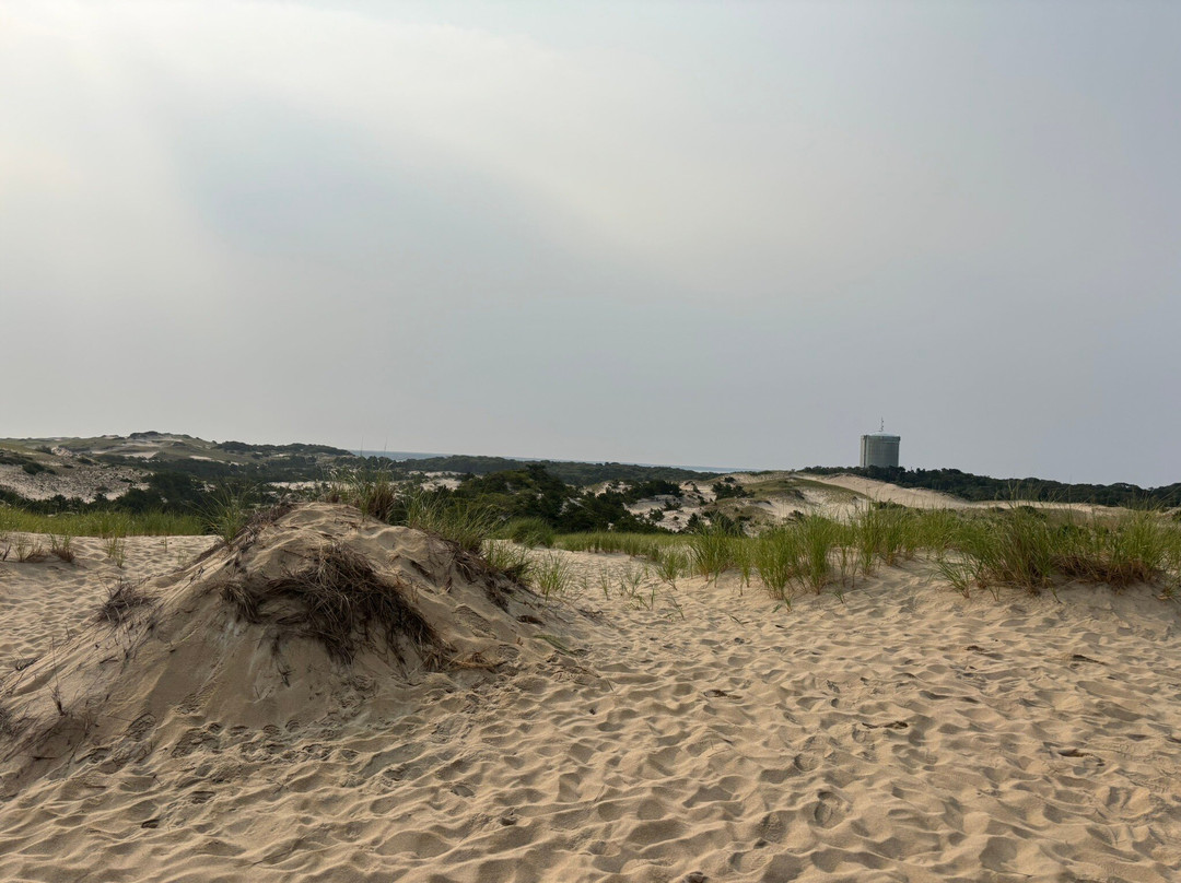 Dune Shacks Trail-普罗温斯敦必去景点