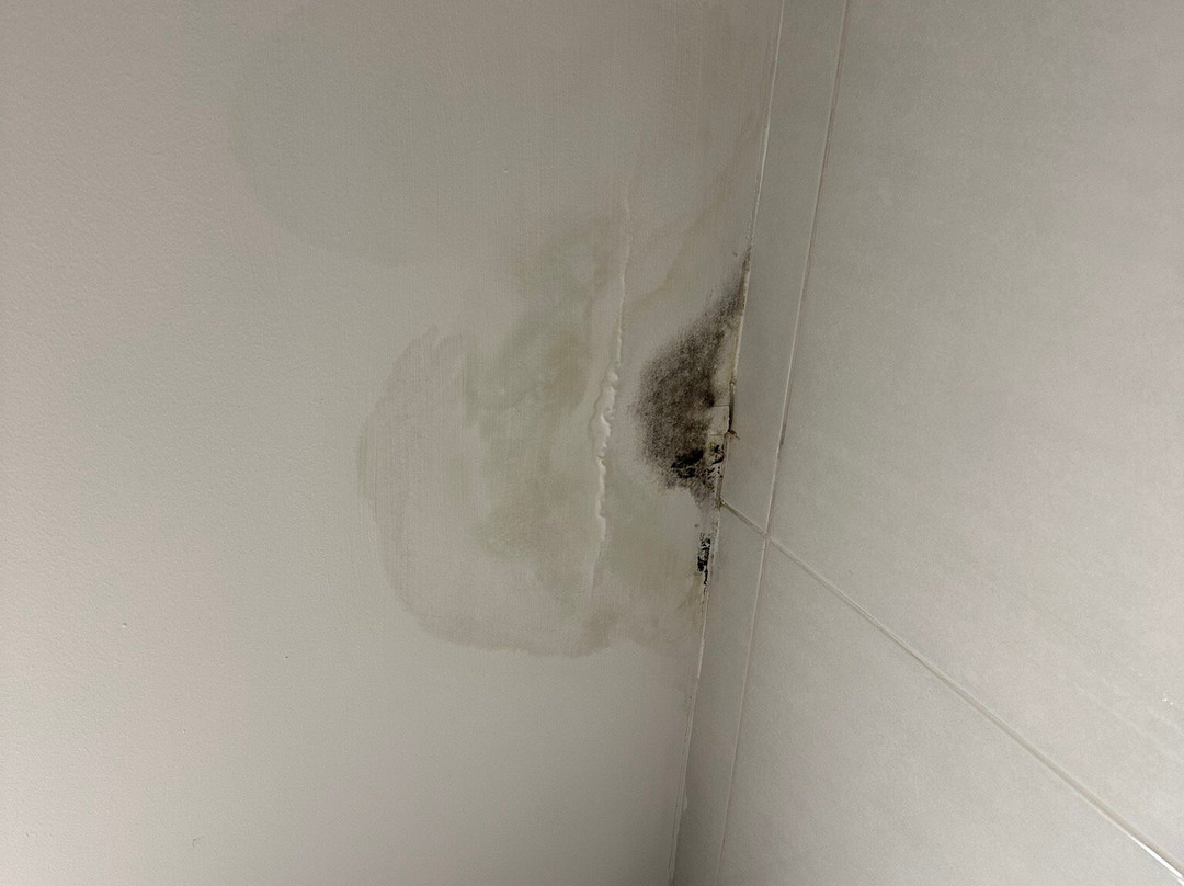 Exe Praia Golfe主图