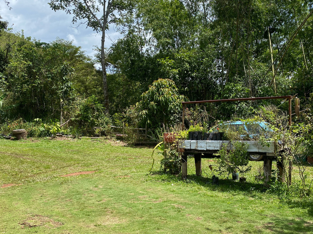 Brisas del Cauca-Risaralda必去景点