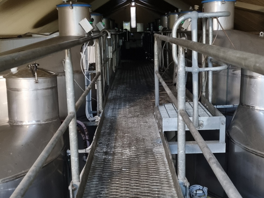 Chapel Hill Winery-麦克拉伦谷必去景点