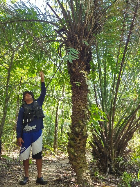 Cânion Do Rio Salobra-Bodoquena必去景点