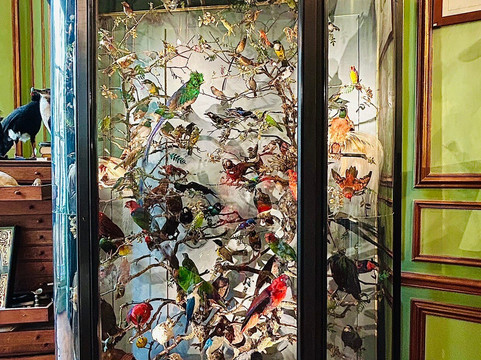 天牛-巴黎必去景点