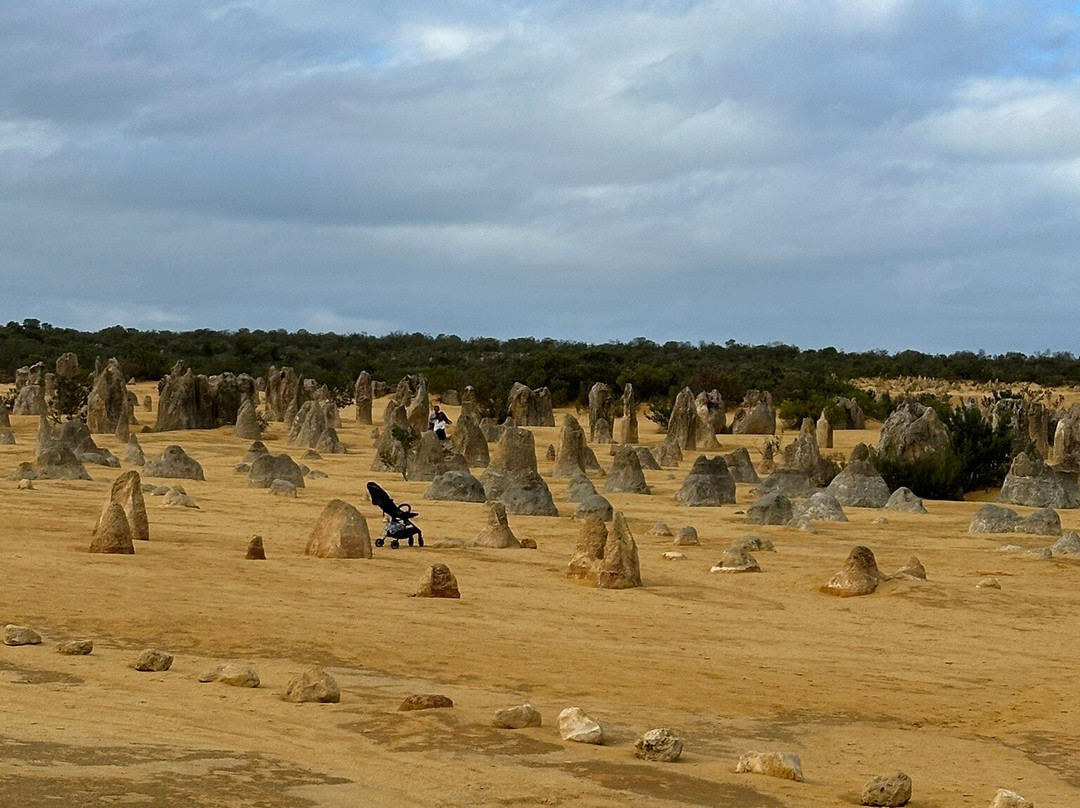 The Pinnacles Desert-Nambung必去景点
