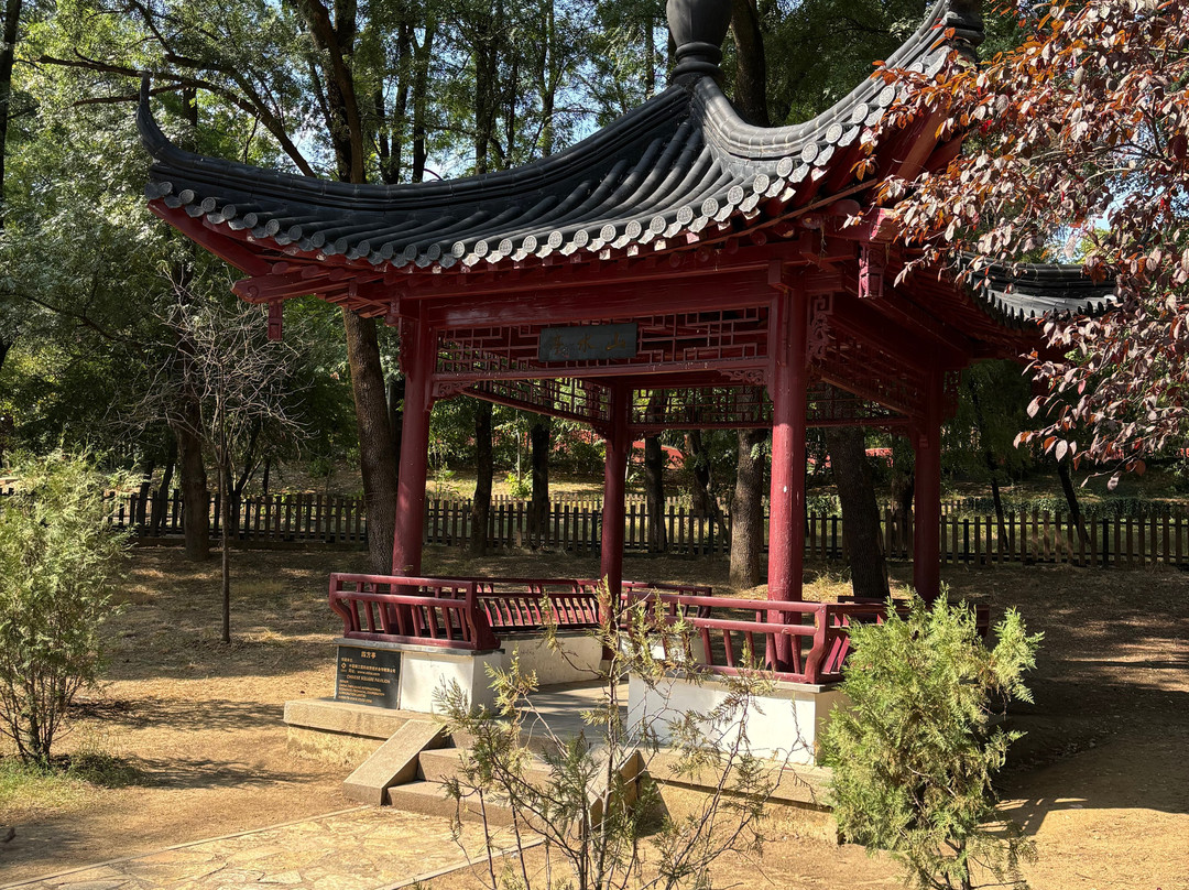 Grand Park (Parku i Madh)-地拉那必去景点