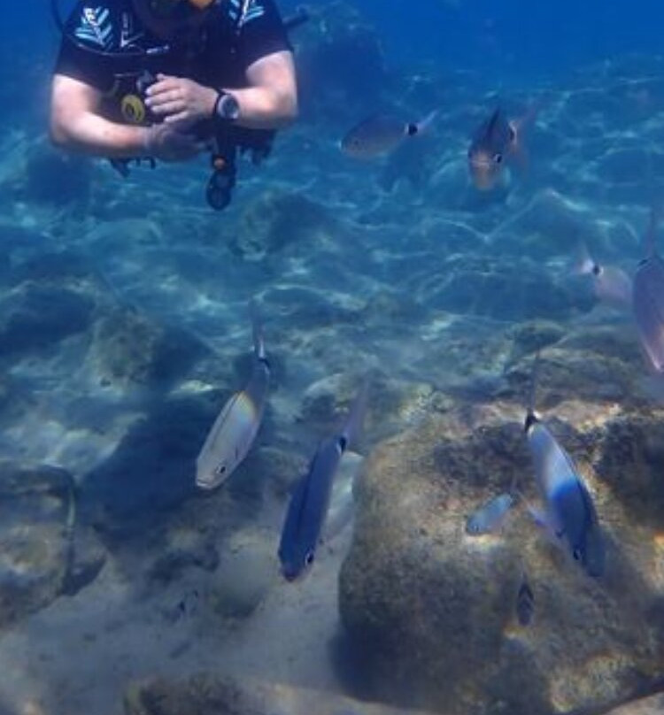 Arian Diving Centre-卡达米那必去景点