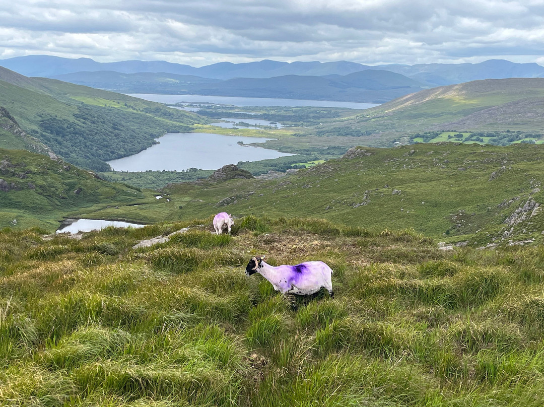 格林尼世奇-肯梅尔必去景点