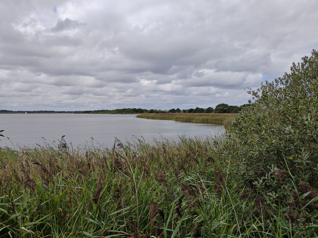 Hickling Broad and Marshes-诺福克郡必去景点