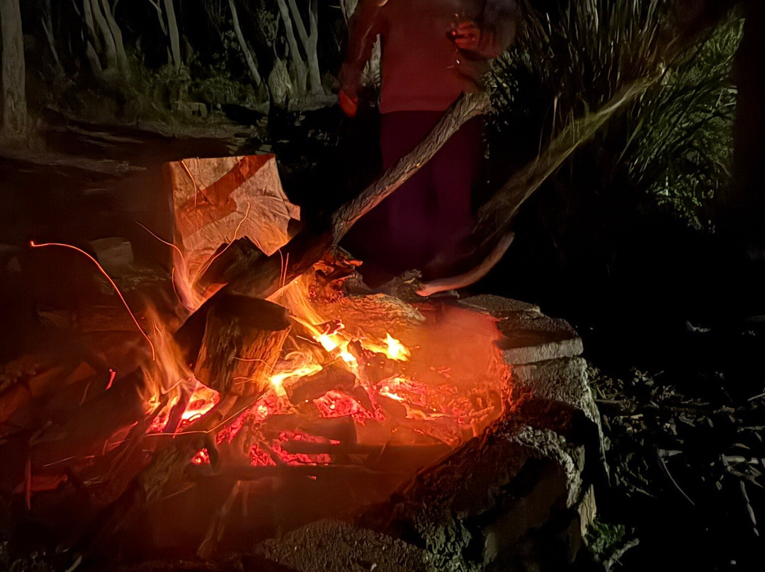 Sinofield Edu-Retreat主图