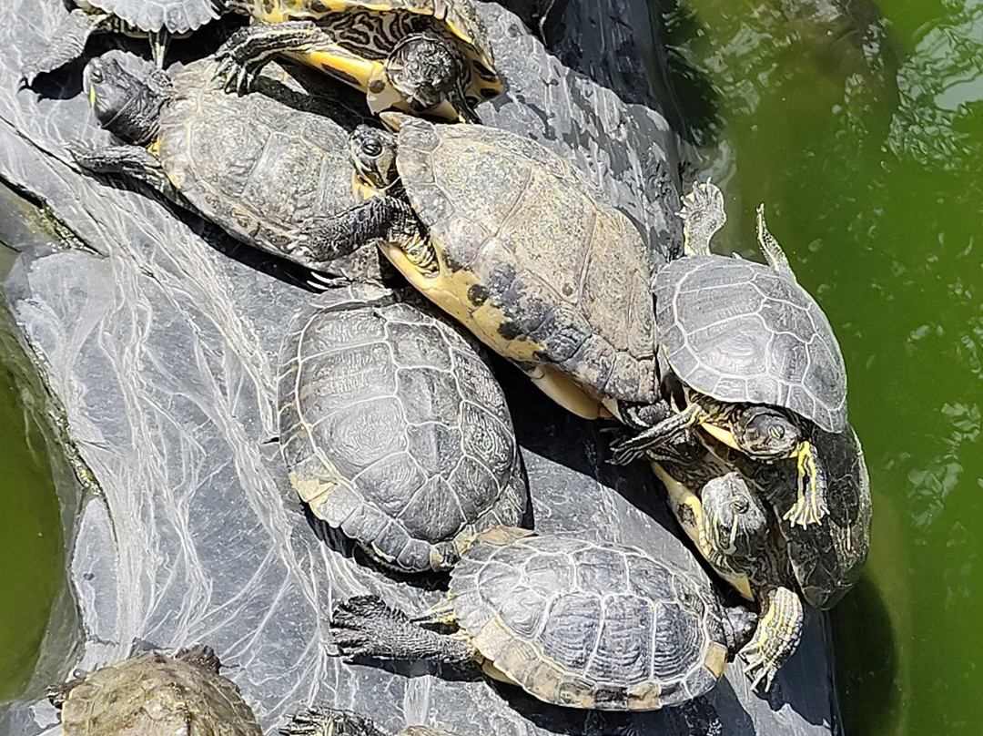 Les Jardins Animaliers Biotropica-Val de Reuil必去景点
