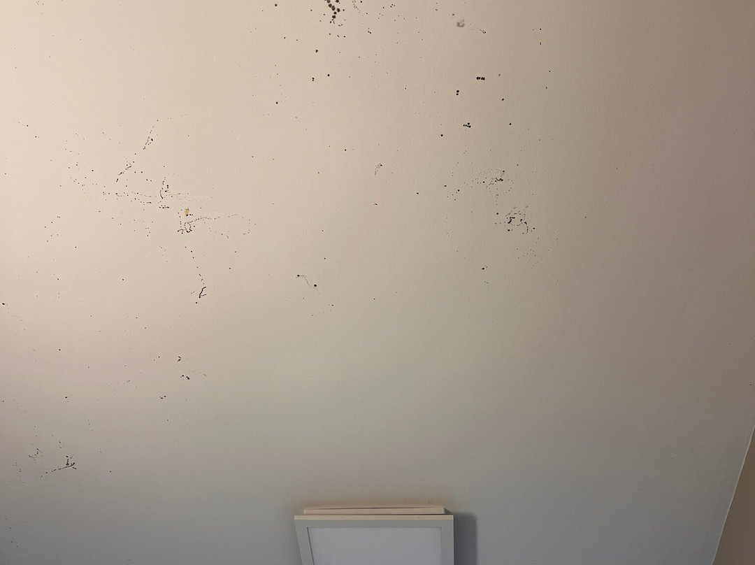 Kentucky Dam Village State Resort Park - Lodging主图