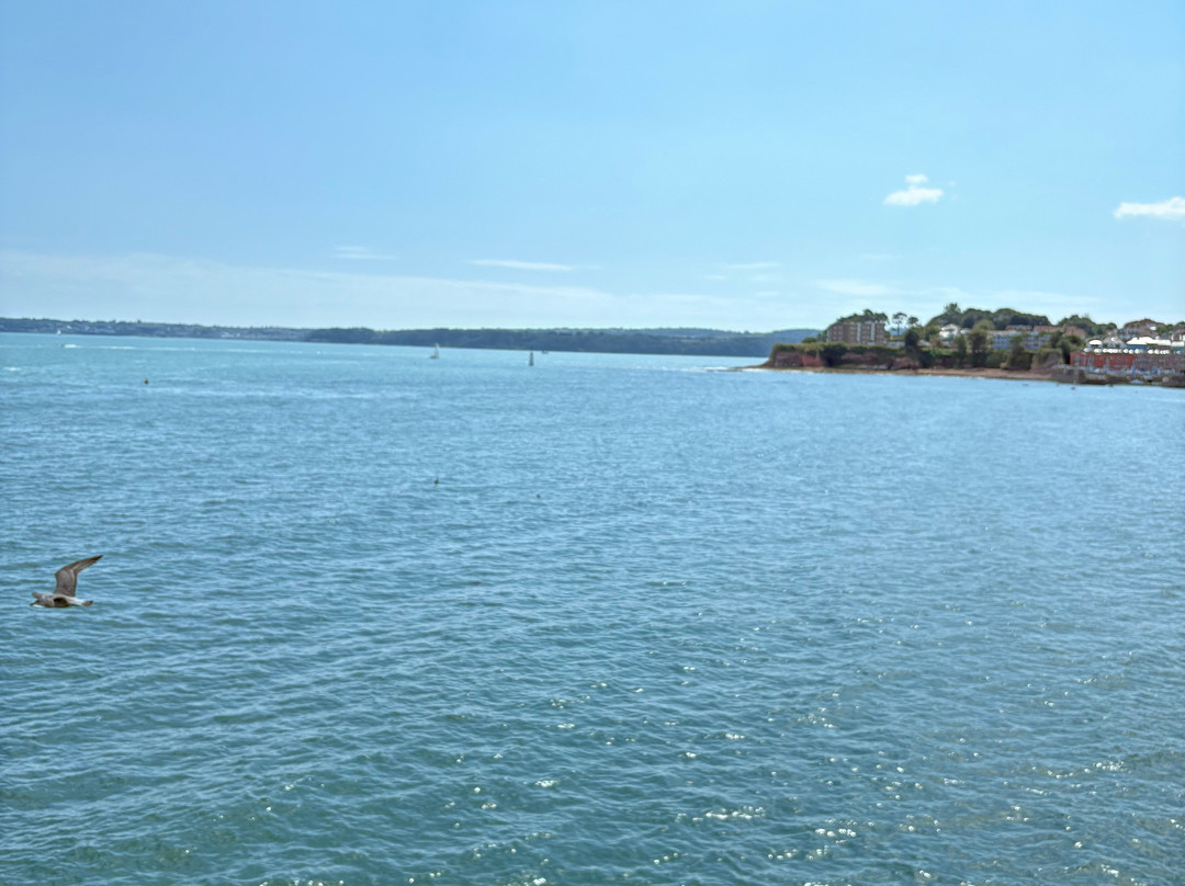 Paignton Beach-佩恩顿必去景点