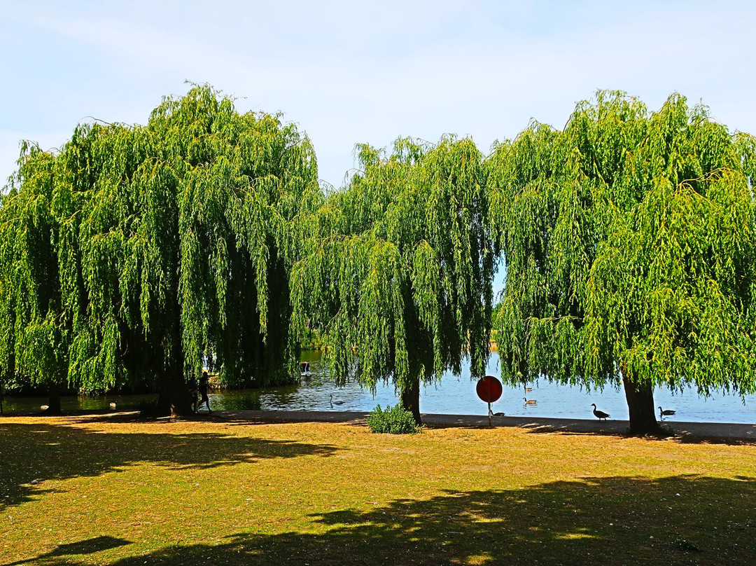 Alexandra Gardens-温莎必去景点