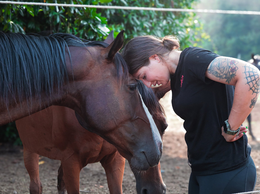 The Fairy Ranch-Rocca di Papa必去景点