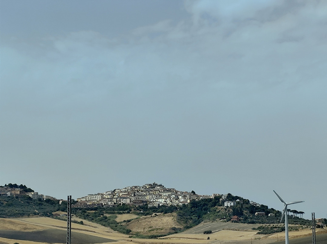 Il Fiore Della Vita主图