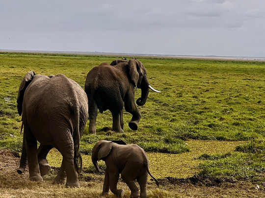 Keyron Vacation Ltd-蒙巴萨必去景点