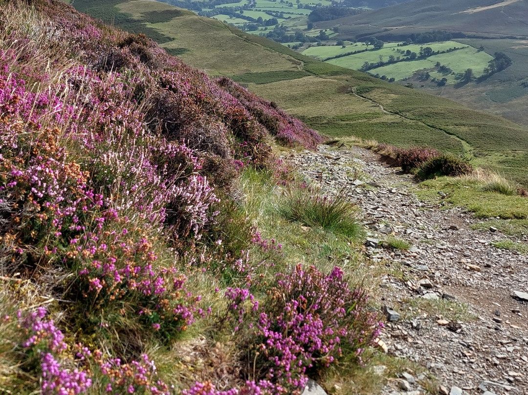 Ambleside Adventure-安布赛德必去景点