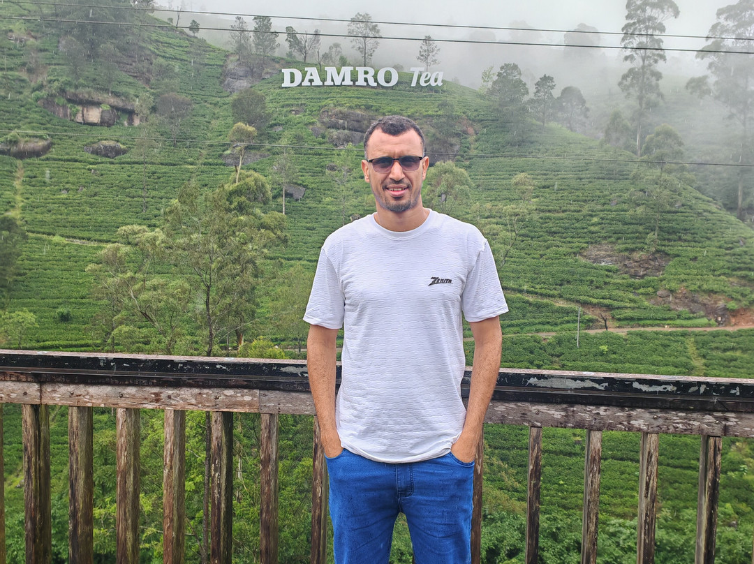 Rubik's Tours (pvt) Ltd-科伦坡必去景点