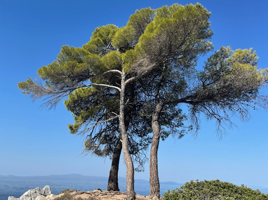 Cape Amarandos-Agnontas必去景点