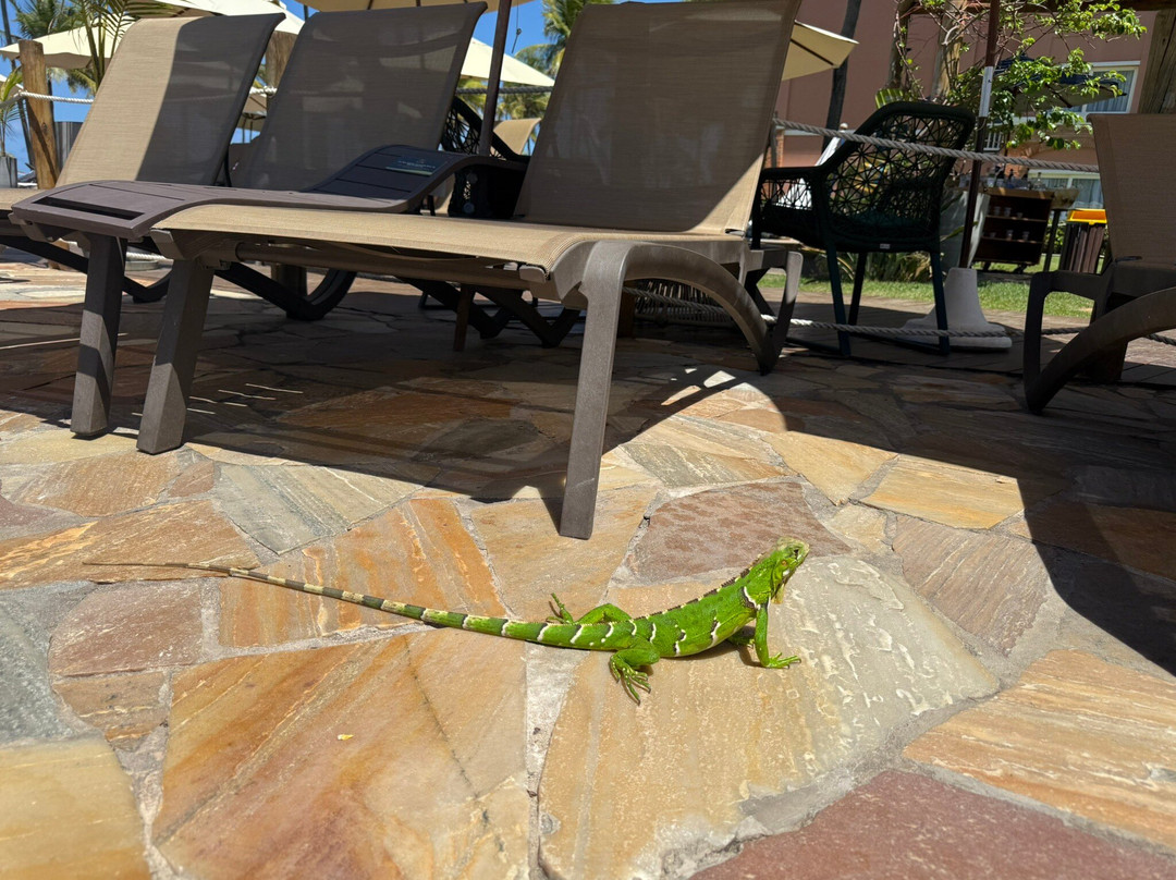 Resort Costa do Sauípe - Ala Mar