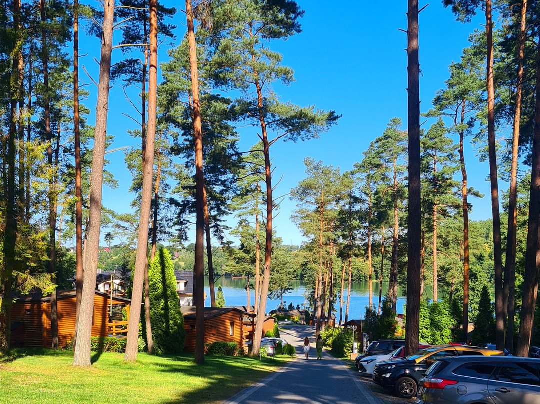 Adler Medical Spa主图