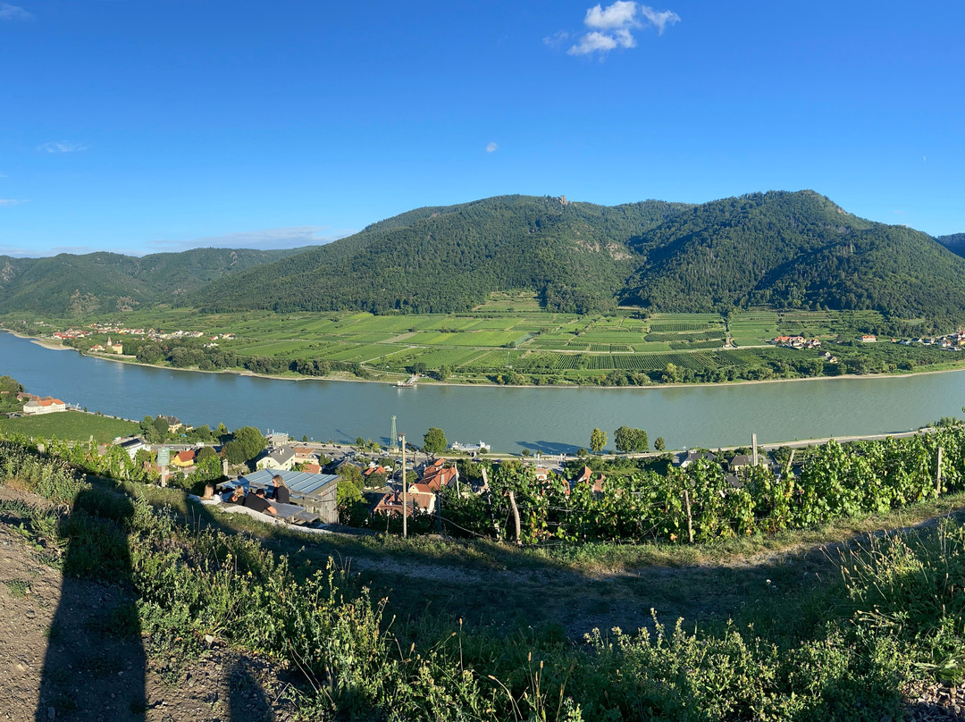 Segway Wachau-施皮茨必去景点