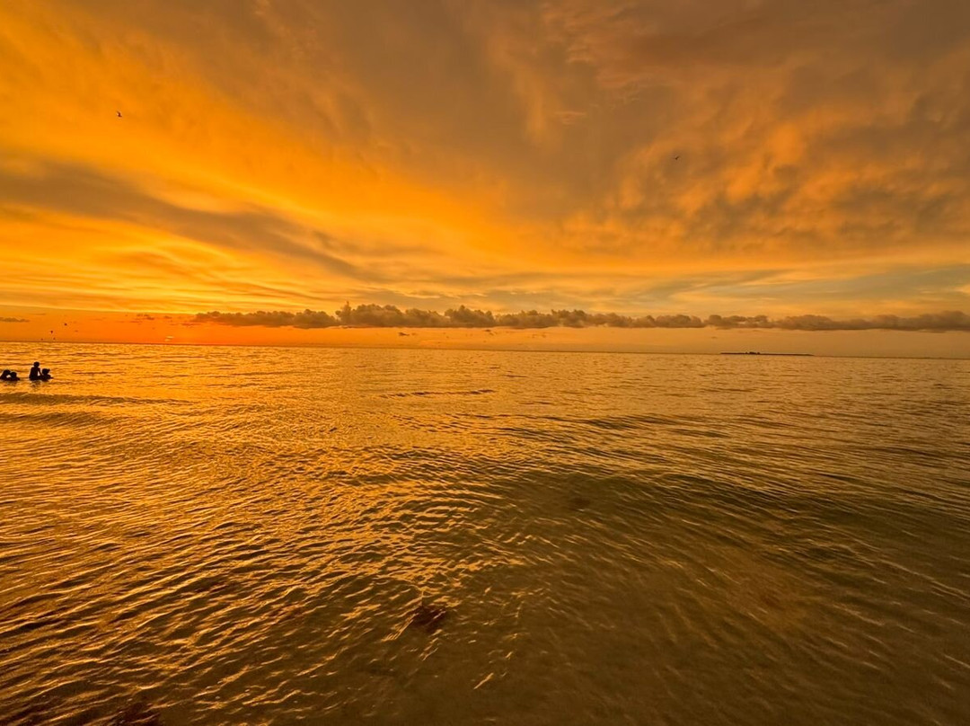 Manatee Public Beach-Holmes Beach必去景点