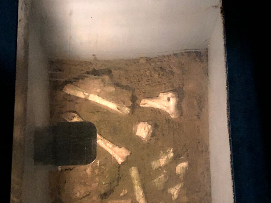 Oregon Caves National Monument And Preserve-凯夫章克申必去景点