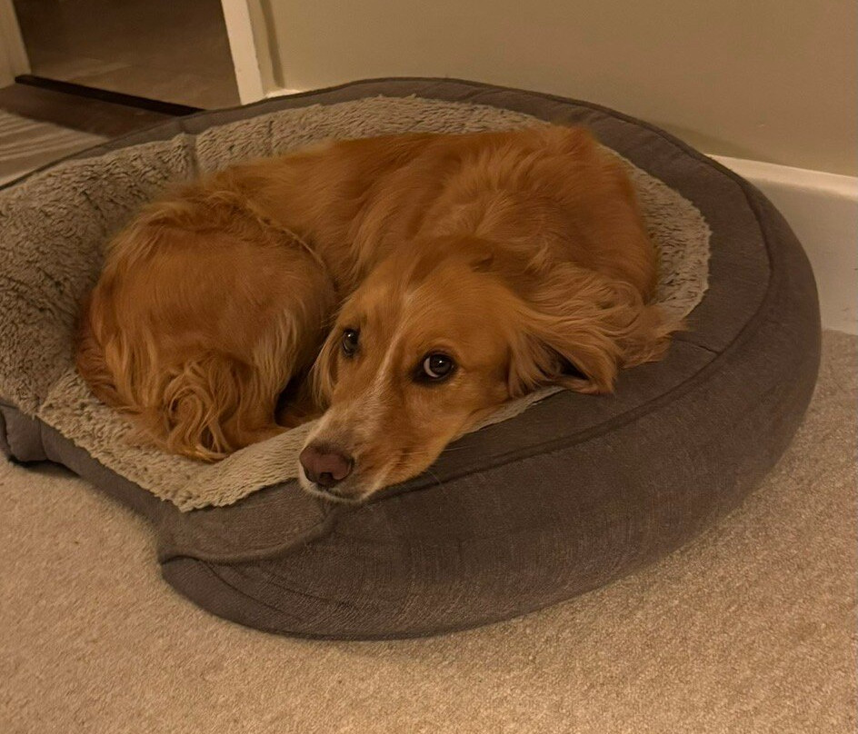 Pheasant Inn (hotel)主图