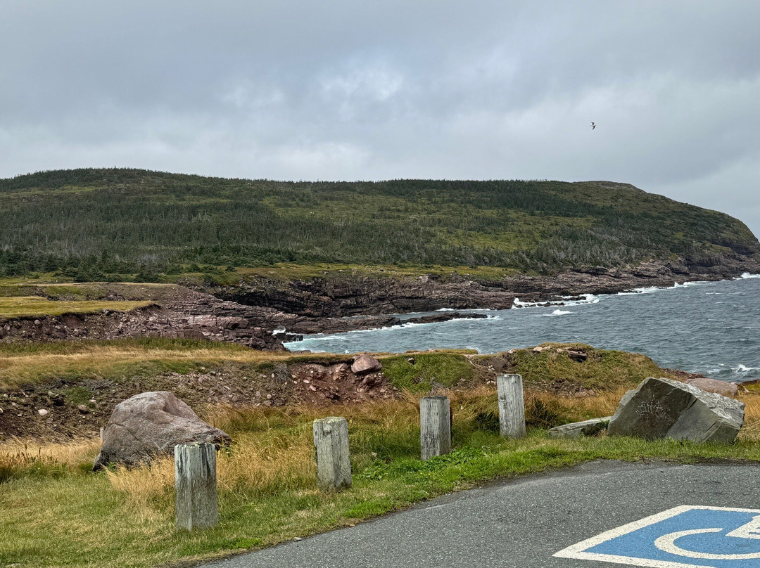Tours By Helen-圣约翰必去景点