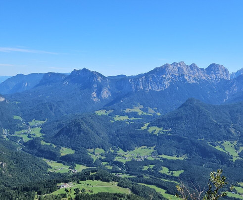 Friedlwirt-Kraftplatz Natur主图