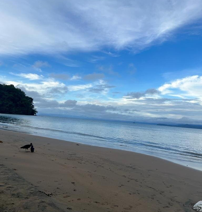 Cabana la Marea