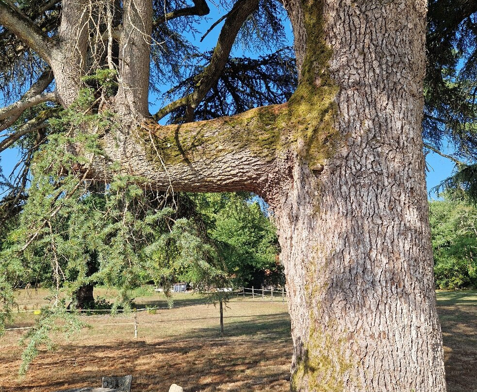 Château Léognan-Leognan必去景点