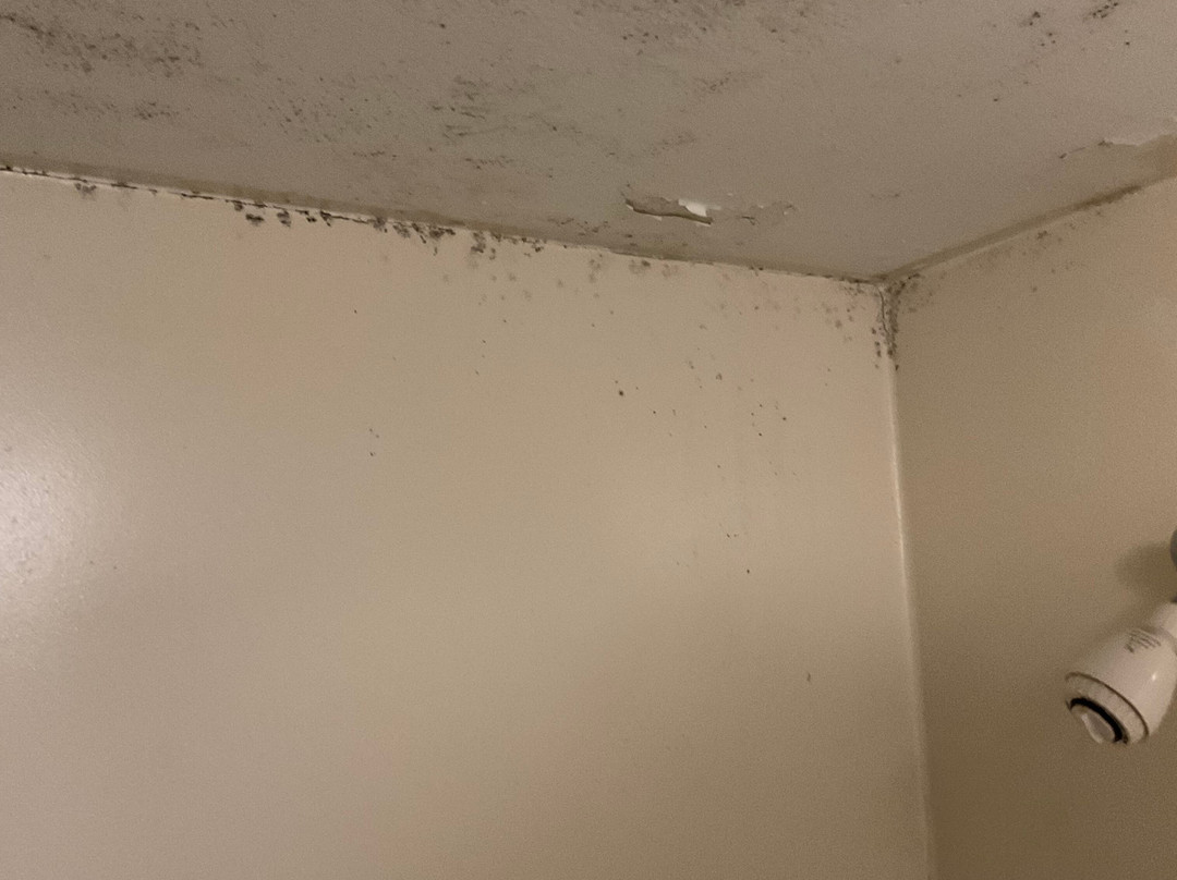 Super 8 by Wyndham Austell/Six Flags主图