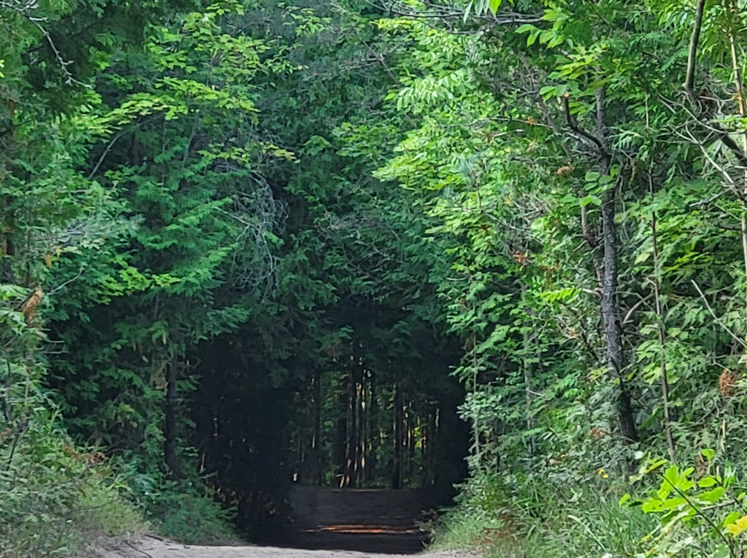 Mono Cliffs Provincial Park-Mono必去景点