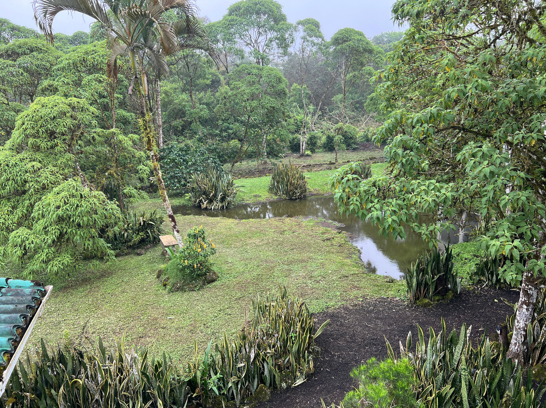 瑟米拉维尔德精品酒店主图