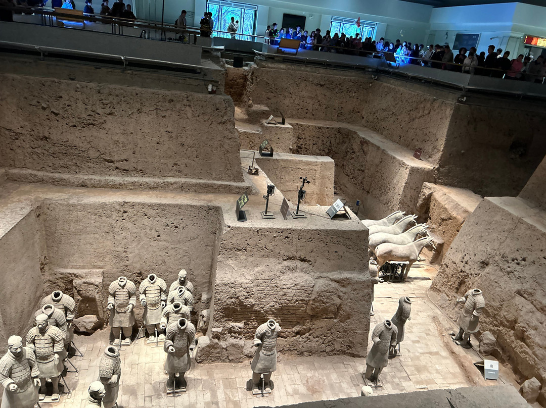Terracotta Warriors Tour-西安市必去景点