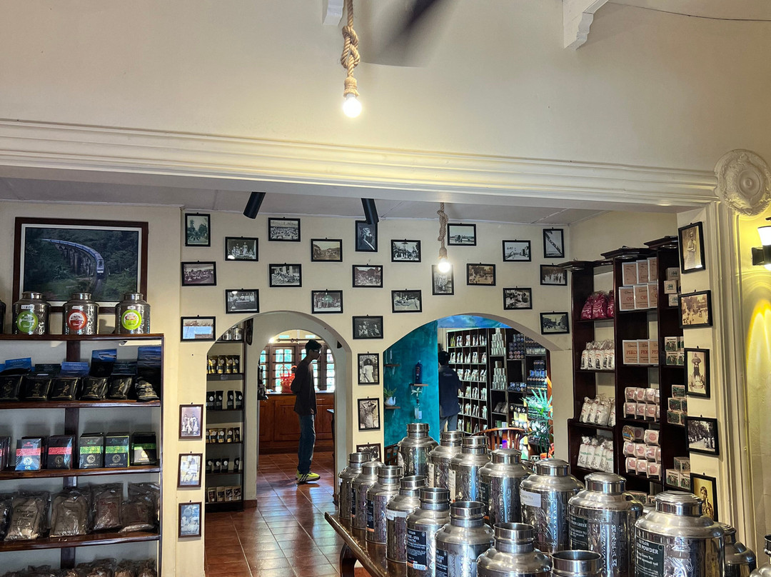 Revro Travels-科伦坡必去景点