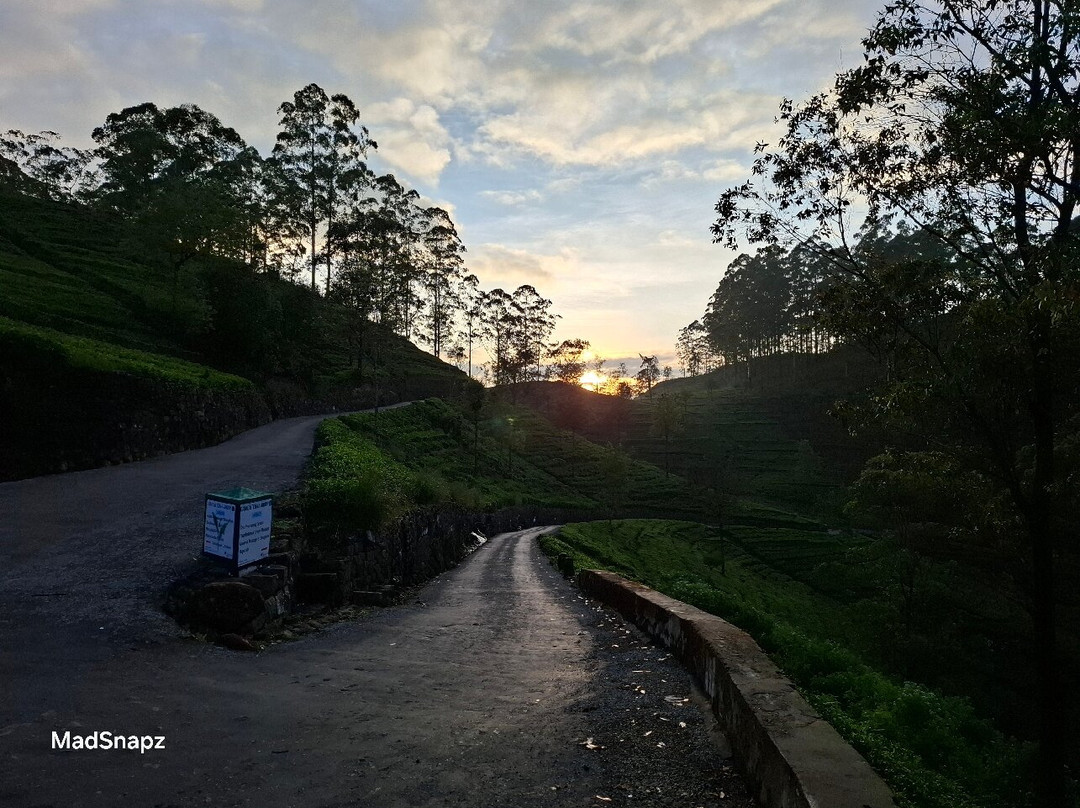 Haputale Tuk Tuk Tours-哈普特莱必去景点