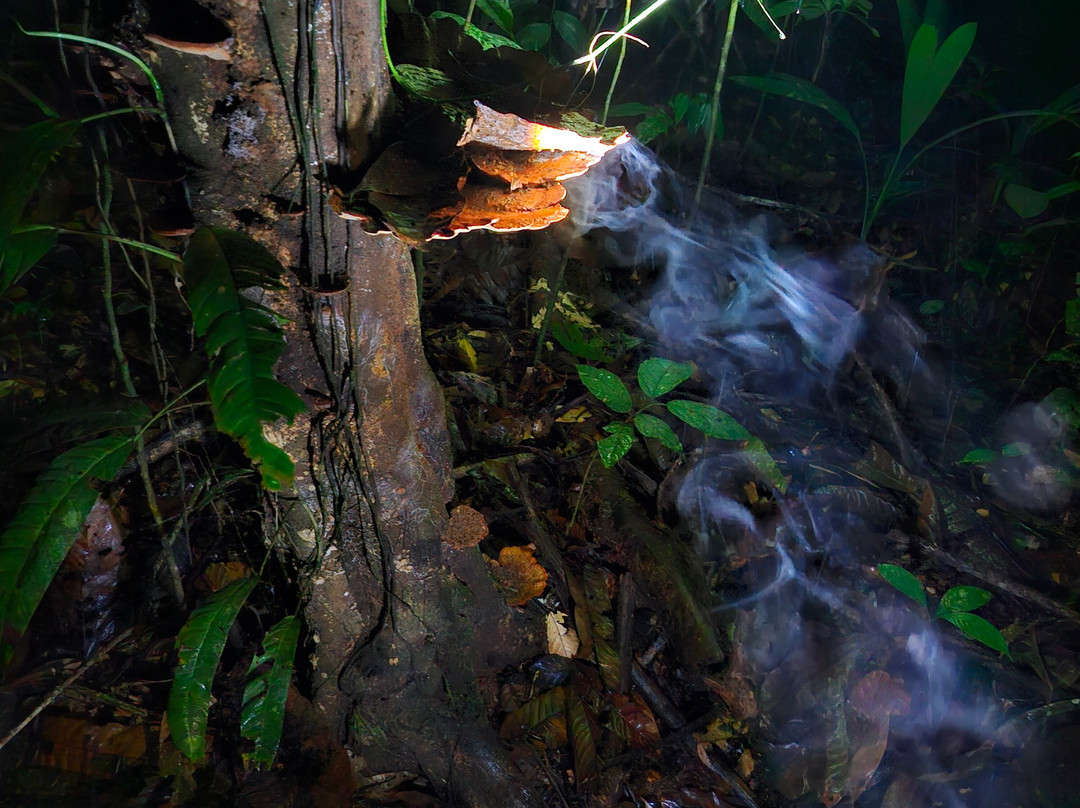 Rancho Tropical-希门尼斯港必去景点