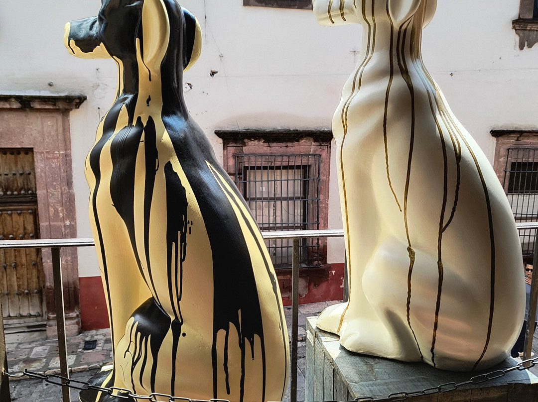 Exim Galería-圣米格尔护城必去景点