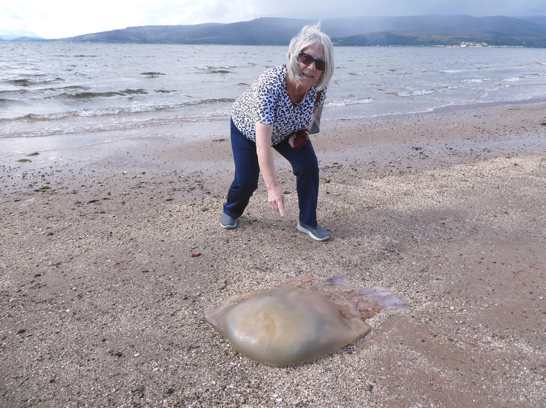 Lunderston Bay-Inverkip必去景点